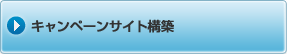 �L�����y�[���T�C�g�\�z