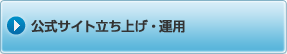 �����T�C�g�����グ�E�^�p